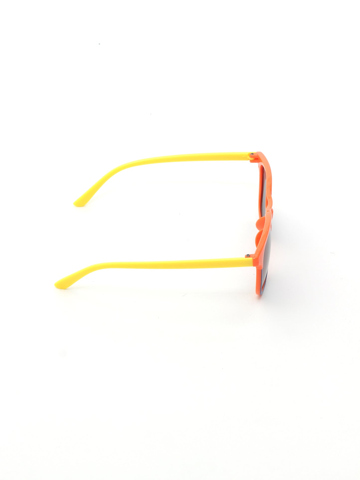 Wayfarer Sunglasses