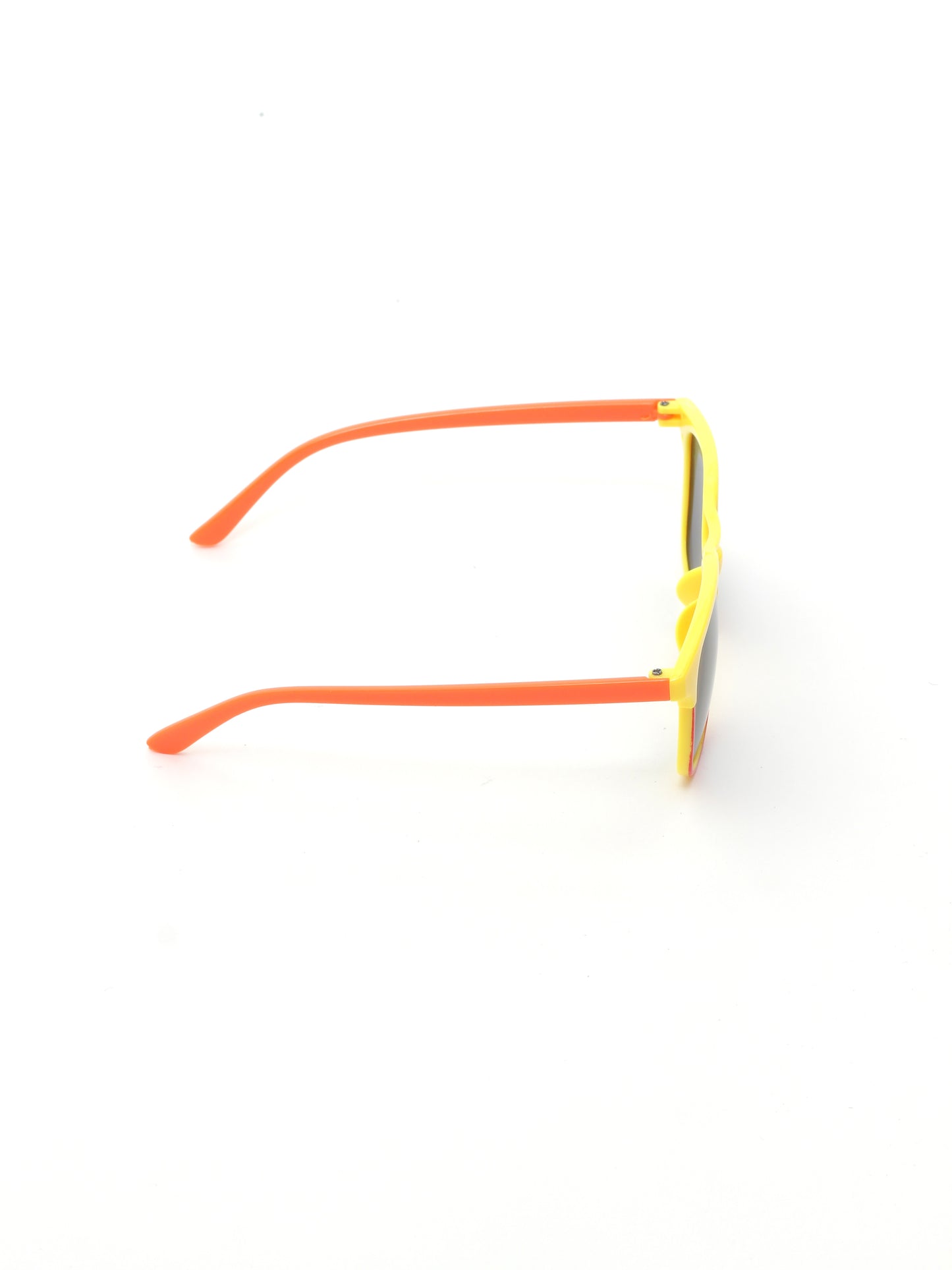 Wayfarer Sunglasses