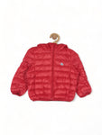 Front Open Polyfill Hooded Jacket - Red