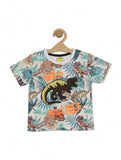 Dinosaur Print Boys Set - Grey