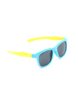 Wayfarer Sunglasses