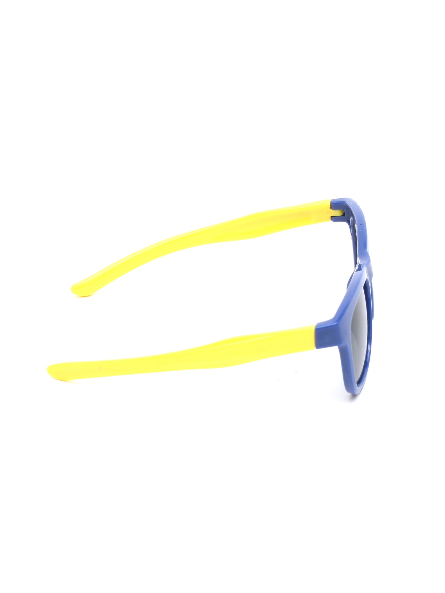 Wayfarer Sunglasses