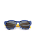 Wayfarer Sunglasses