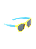 Wayfarer Sunglasses