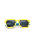 Wayfarer Sunglasses