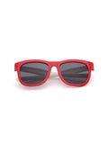 Wayfarer Sunglasses